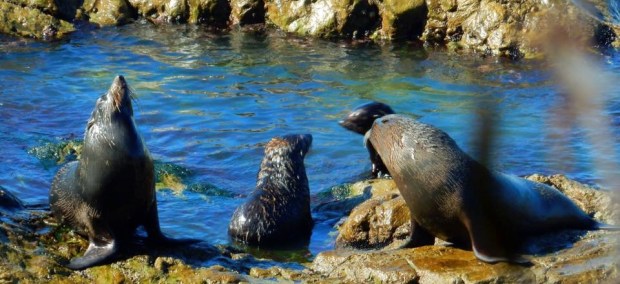 12794598_10156679102810285_5218470037137381372_n