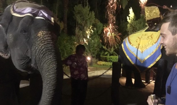 12986314_10153522768580233_126151873_o