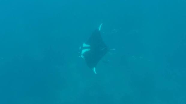 13072090_10156813315705285_604540855_o