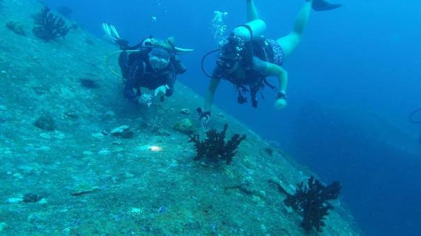 13091682_10156813315990285_130571601_o