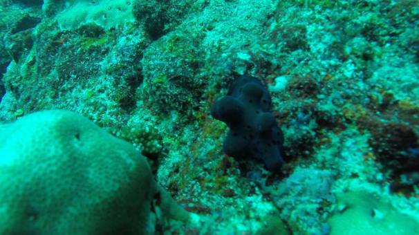 13112622_10156813315230285_1816515906_o