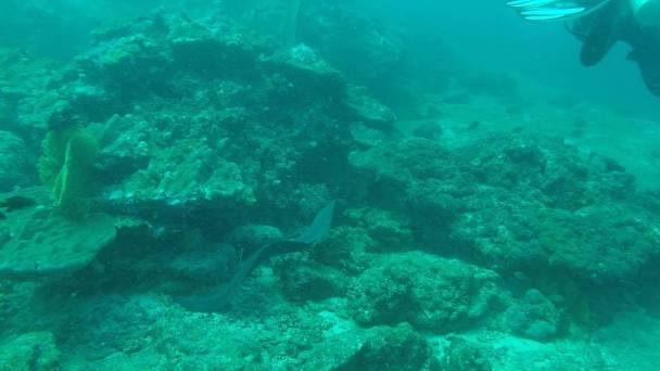 13120571_10156813316045285_1782898035_o