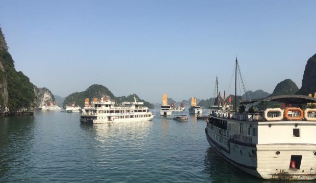 13288636_10156909854535285_599508818_o