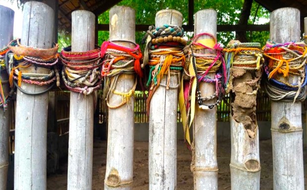 13394093_10156948291675285_7131097432681306137_n