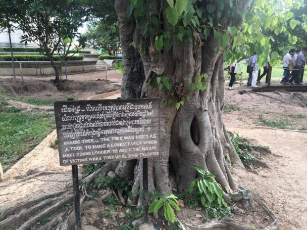 13414076_10153637300605233_286302406_n