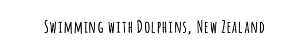 dolphins-black2