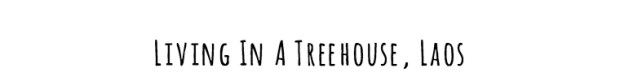 treehouse-black