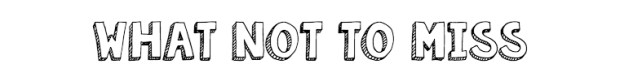 whatnottomiss