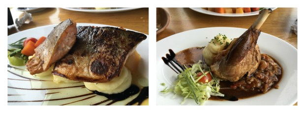 skogafoss char and lamb