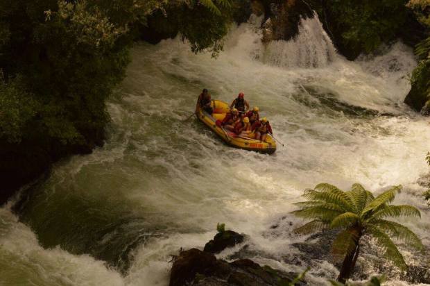 12633654_10156434072570285_8736855201612822495_o