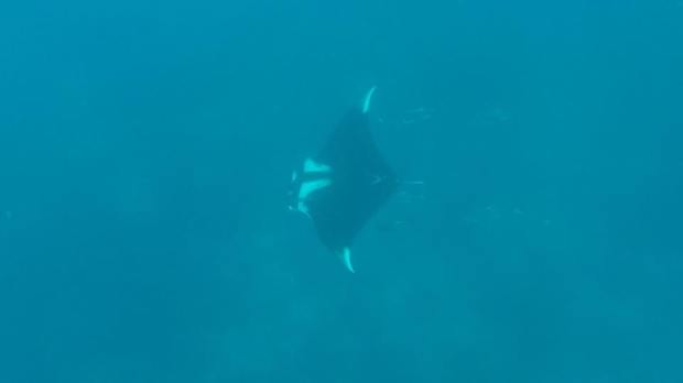 13094129_10156813341235285_5237542021903962685_n